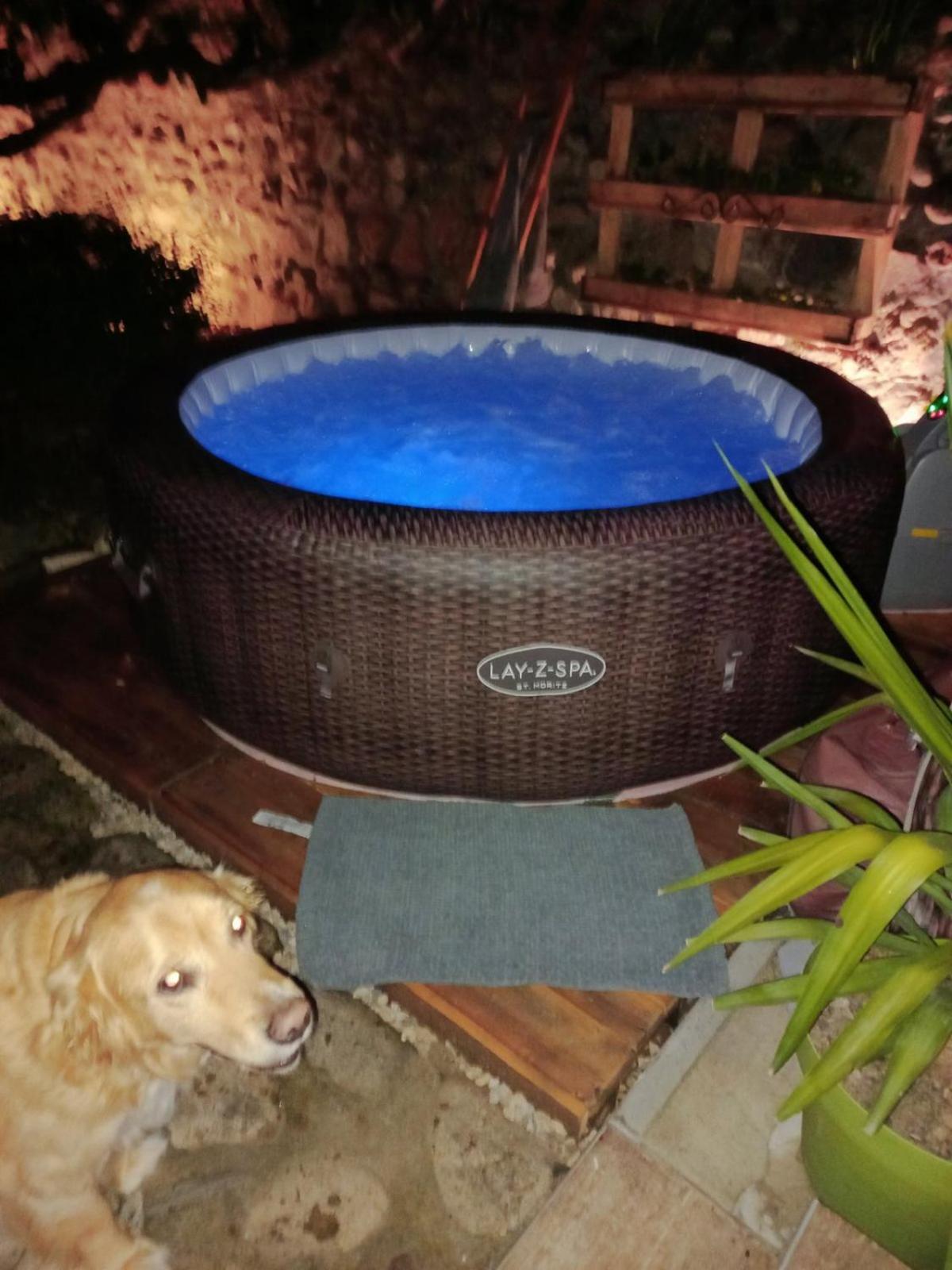 Guesthouse Silvani Krusevac Bagian luar foto