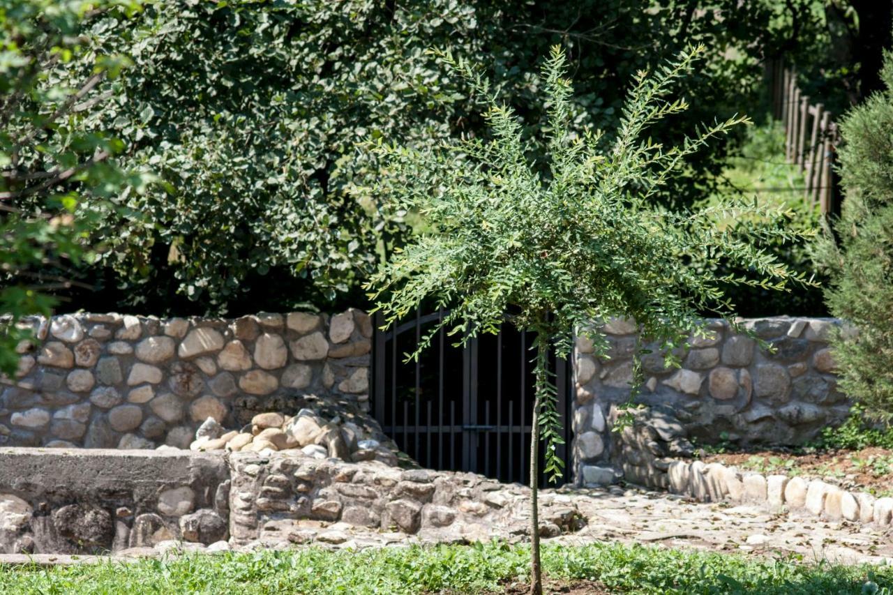 Guesthouse Silvani Krusevac Bagian luar foto