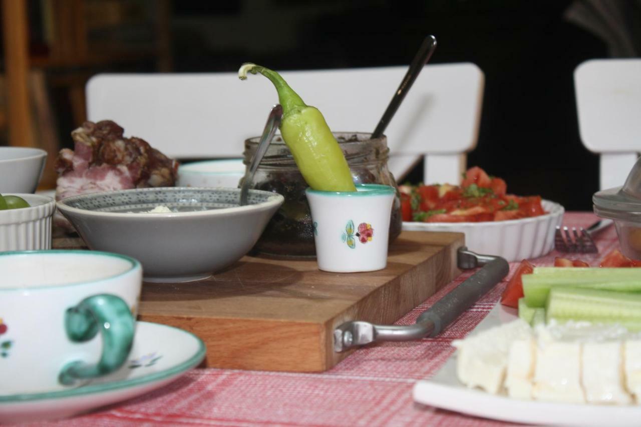 Guesthouse Silvani Krusevac Bagian luar foto
